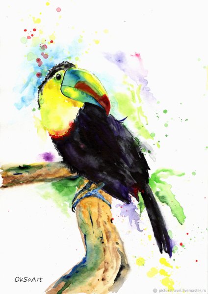 Тукан акварелью