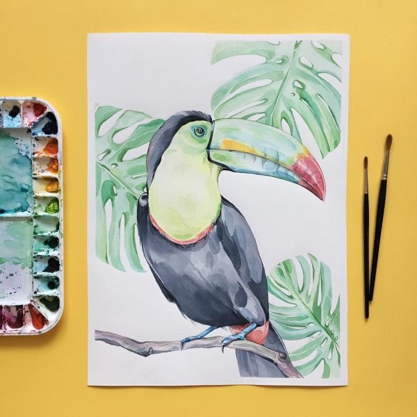Тукан акварелью