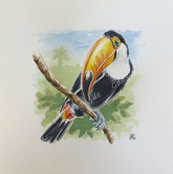 Картины акварелью птицы