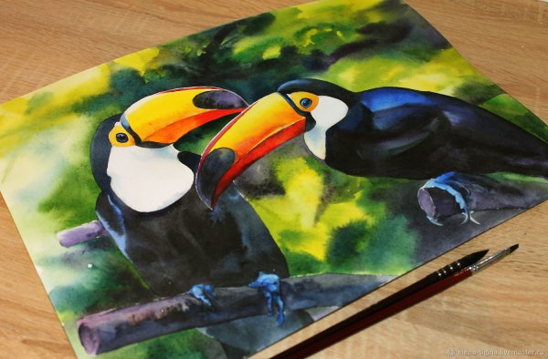 Тукан акварелью