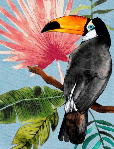 Тукан акварелью