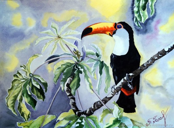 Тукан птица акварелью