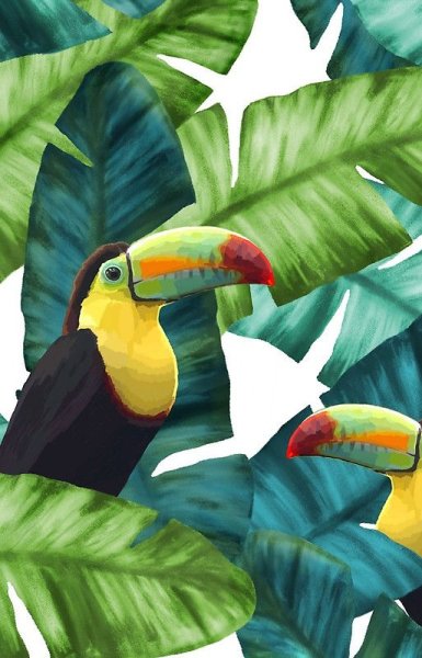 Картел Тукан