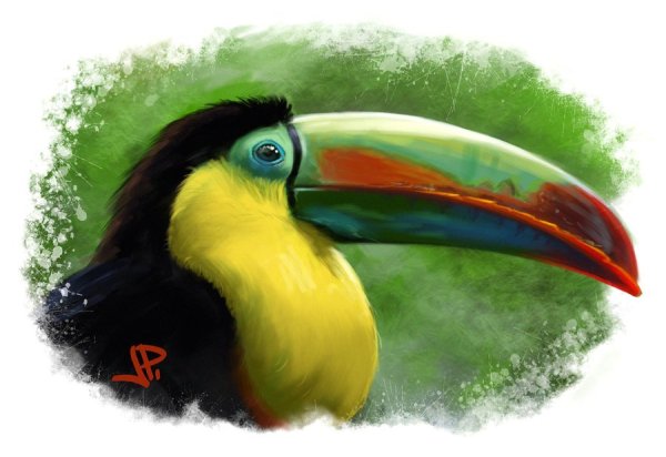 Тропические птицы арт