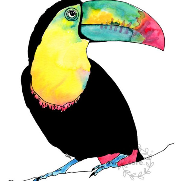 Картина манго и Тукан