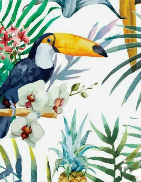 Джон Гульд туканы