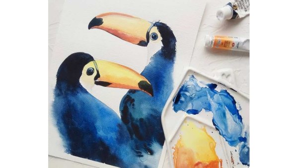 Скетчинг Тукан