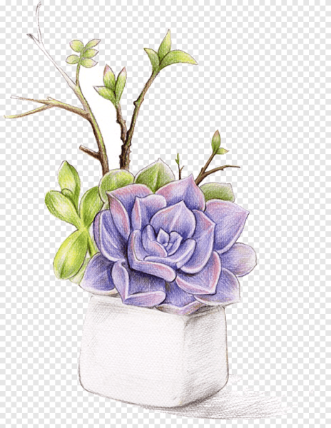 Суккуленты акварель