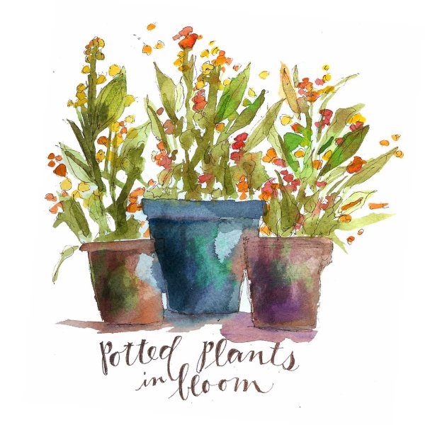 Цветок в горшке акварелью