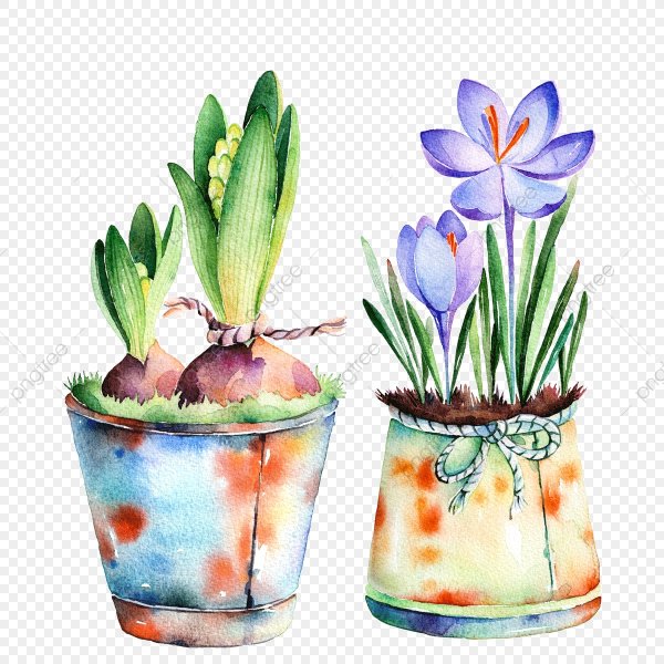 Цветок в горшке акварелью