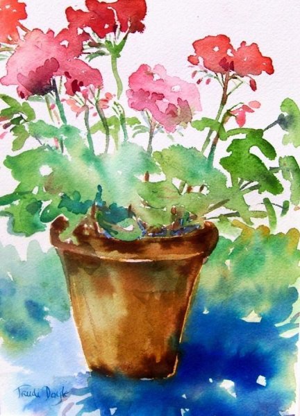 Герань акварелью