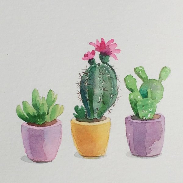 Комнатные растения акварелью