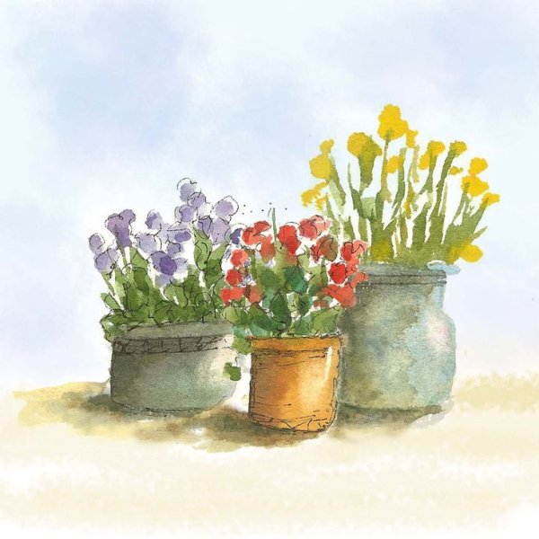 Лучшие цветы в горшках акварелью