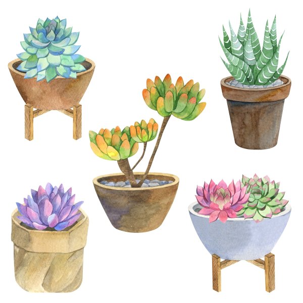 Цветок в горшке акварелью