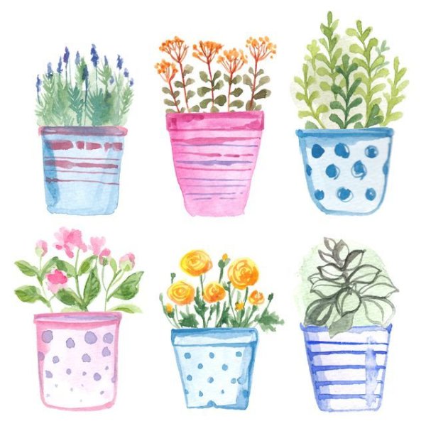 Горшок с цветами акварель