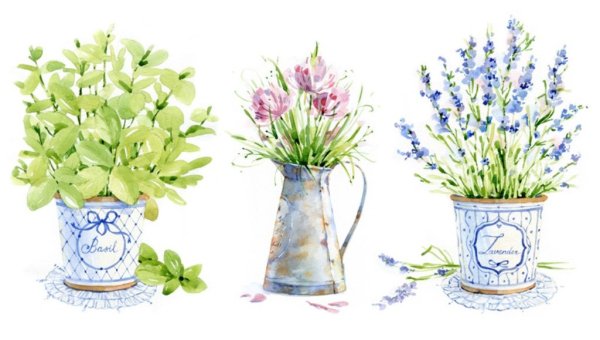 Горшок с цветами акварель