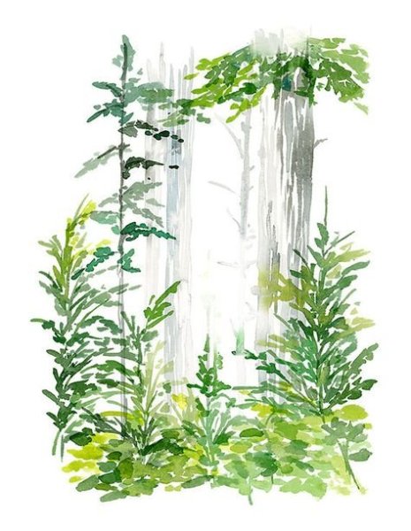 Зелень акварель