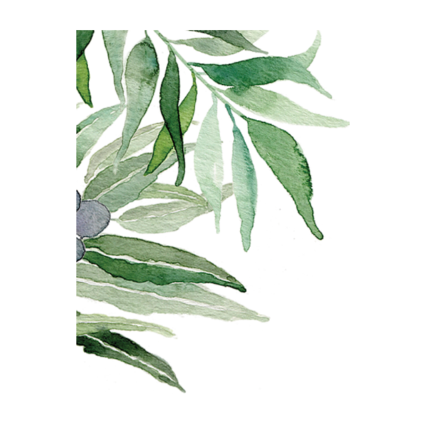 Листья акварель