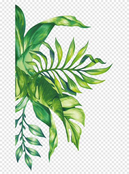 Тропические листья