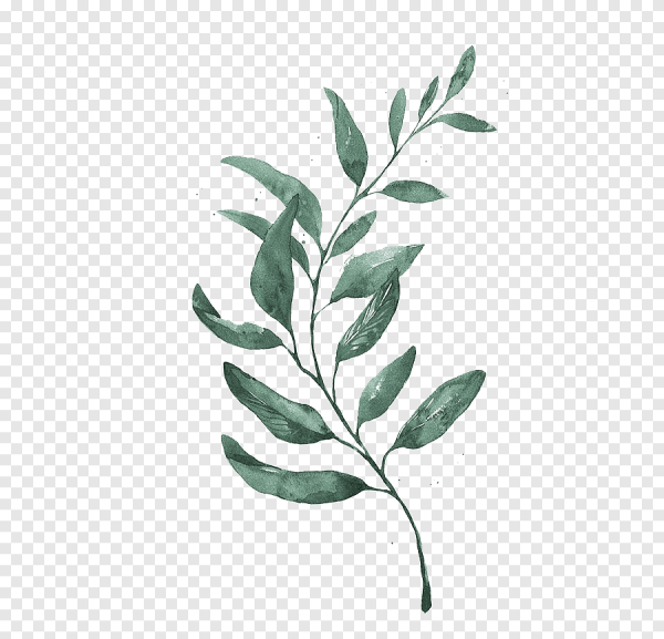 Листья акварель