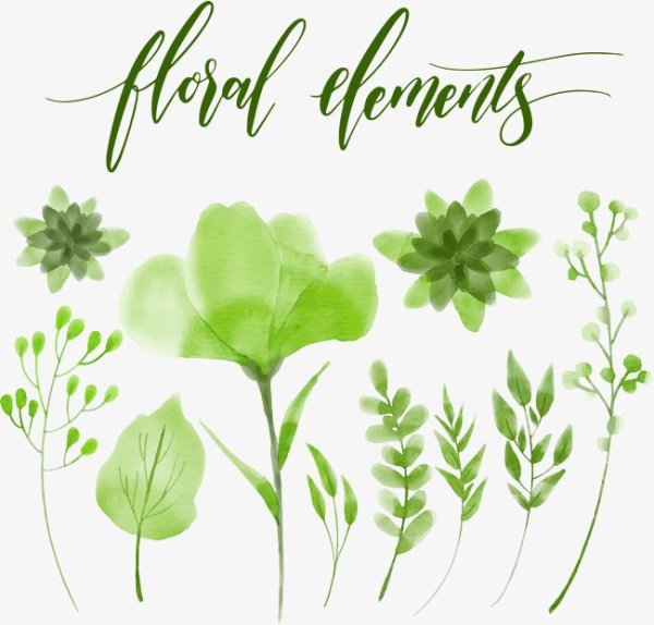 Зеленые цветы акварель