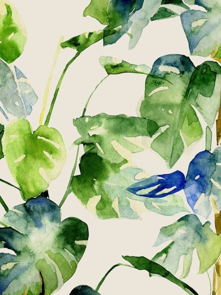 Акварельные рисунки