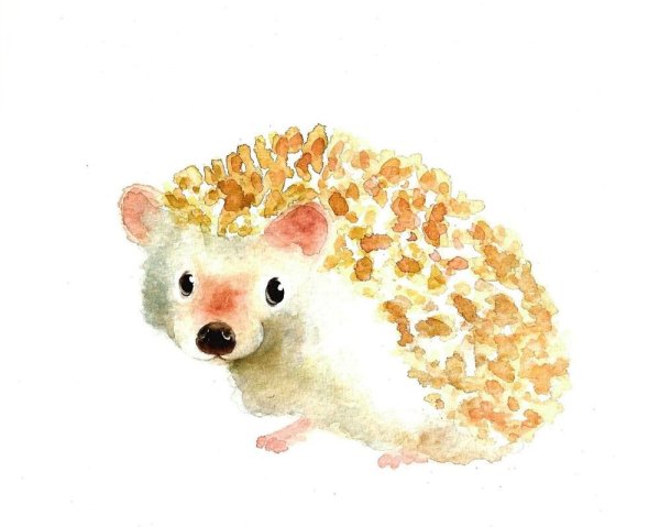 Акварельные ежики