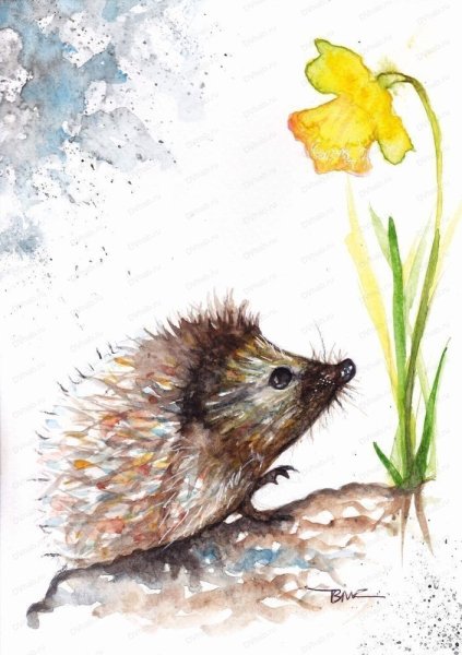 Ежик акварелью для детей