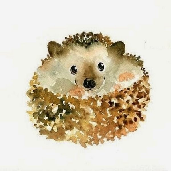 Еж акварелью