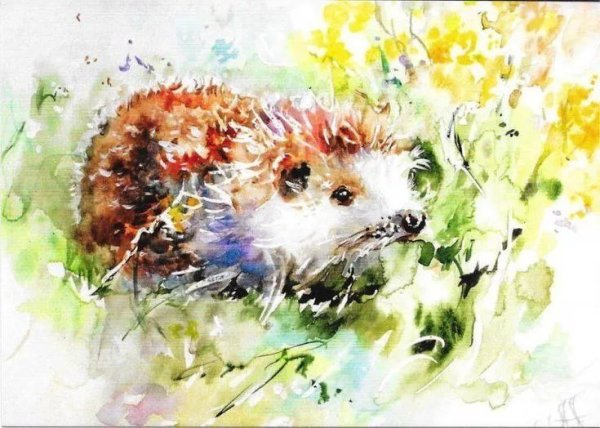 Анималистика акварелью