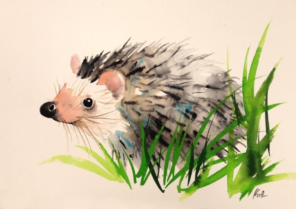 Рисование Ежик красками