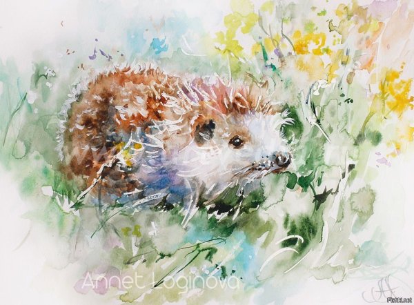 Аннет Логинова Ежик