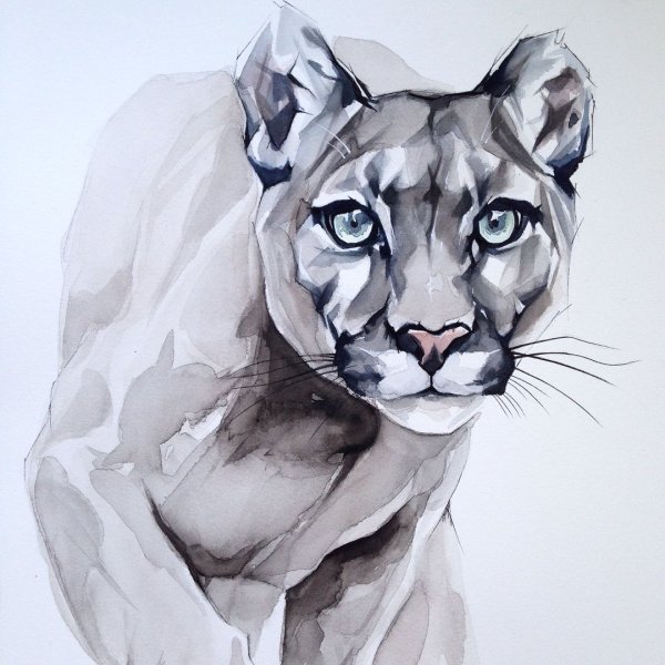 Пума стилизация