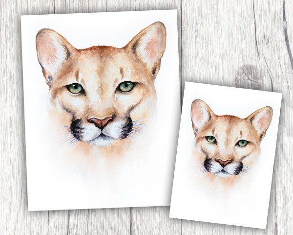 Рисунок Пумы на акварельной бумаге