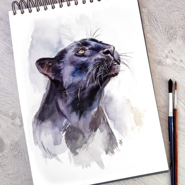 Пантера акварелью