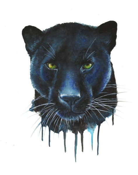 Пантера рисунок