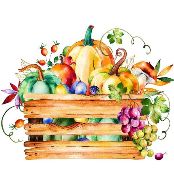 Корзина с фруктами акварель