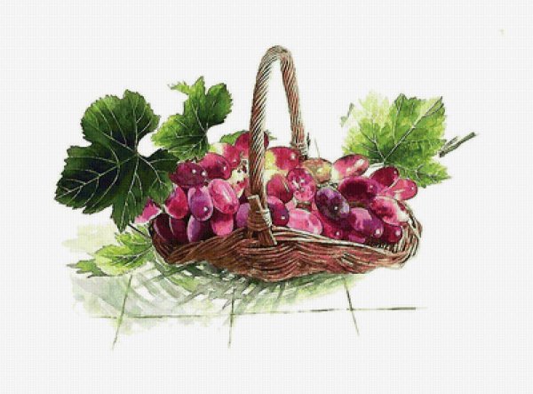 Корзина с фруктами акварель