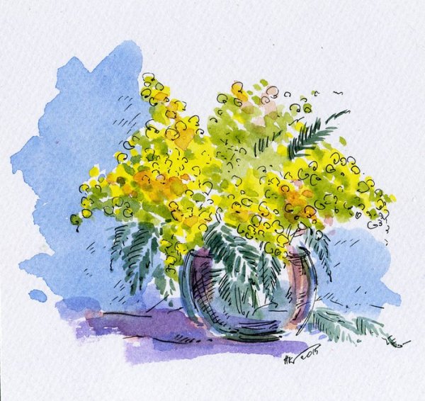 Мимоза акварель Mimosa