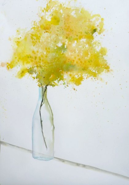 Мимоза акварель Mimosa
