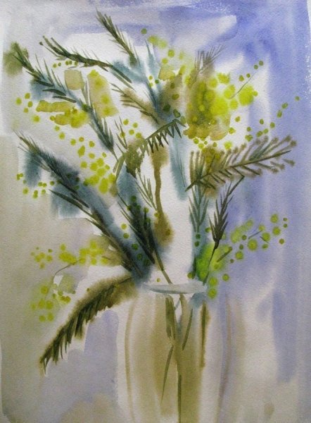 Мимоза акварель Mimosa