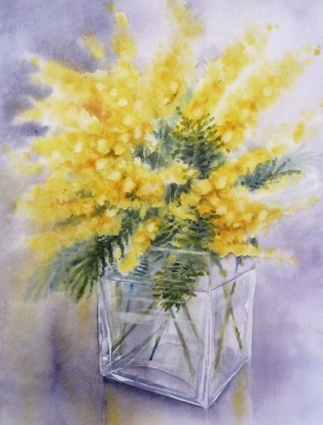 Мимоза акварель Mimosa
