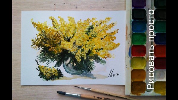 Мимоза акварелью