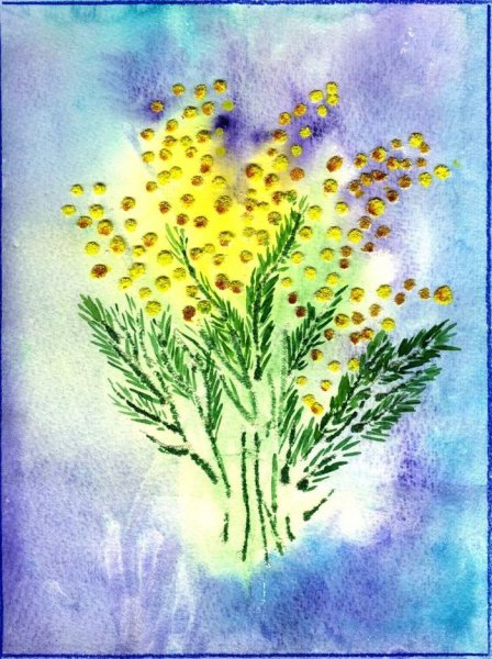 Мимоза рисунок