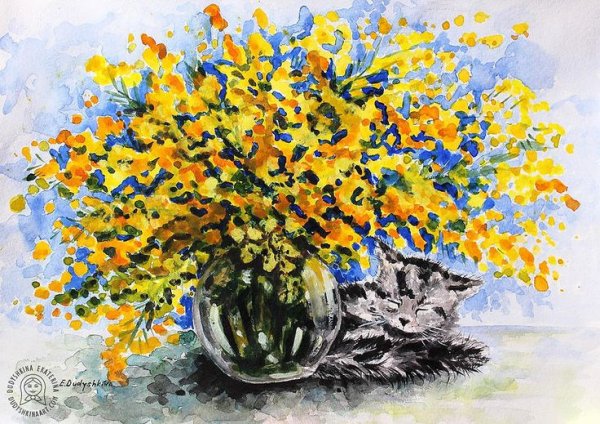 Мимоза правополушарно