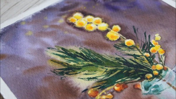 Мимоза акварелью