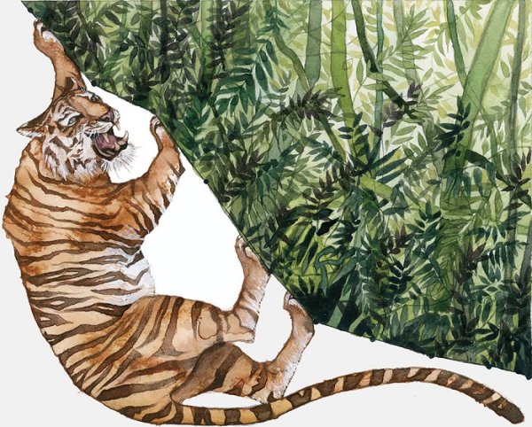 Акварельные джунгли