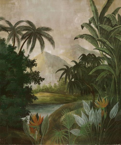 Джим холокауст тропики