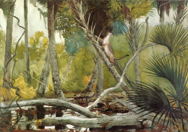 Winslow Homer - Florida Jungle