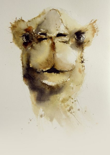 Верблюд акварелью